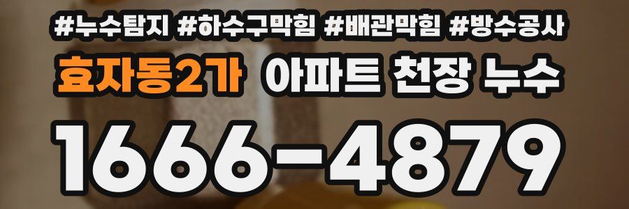 효자동2가 아파트 천장 누수