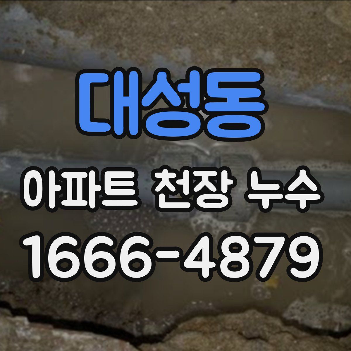 대성동 아파트 천장 누수