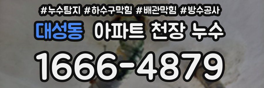 대성동 아파트 천장 누수