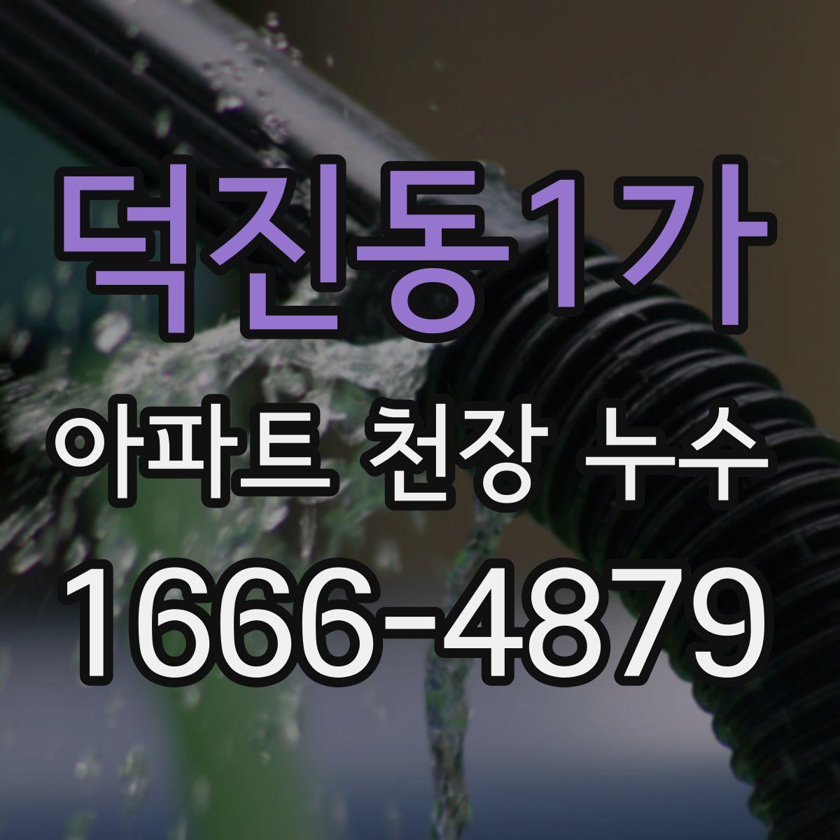 덕진동1가 아파트 천장 누수
