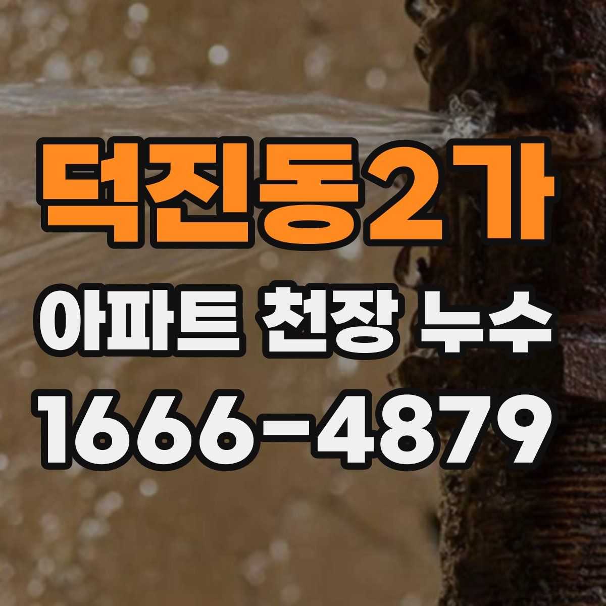 덕진동2가 아파트 천장 누수