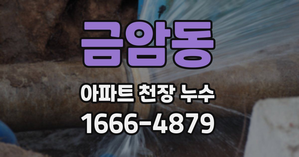 금암동 아파트 천장 누수