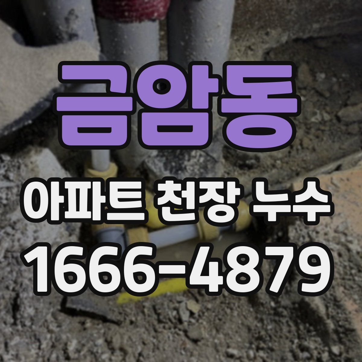 금암동 아파트 천장 누수