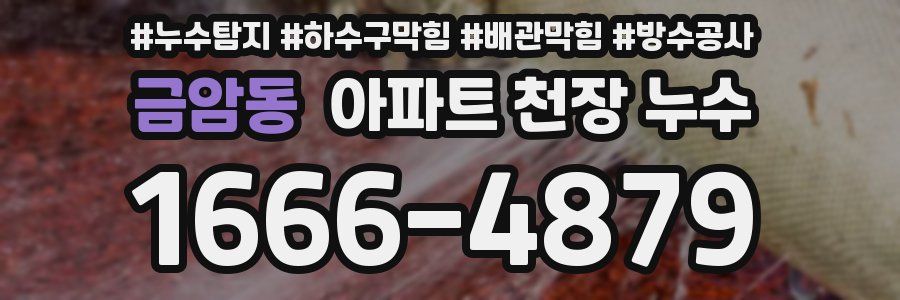 금암동 아파트 천장 누수