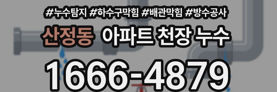 산정동 아파트 천장 누수