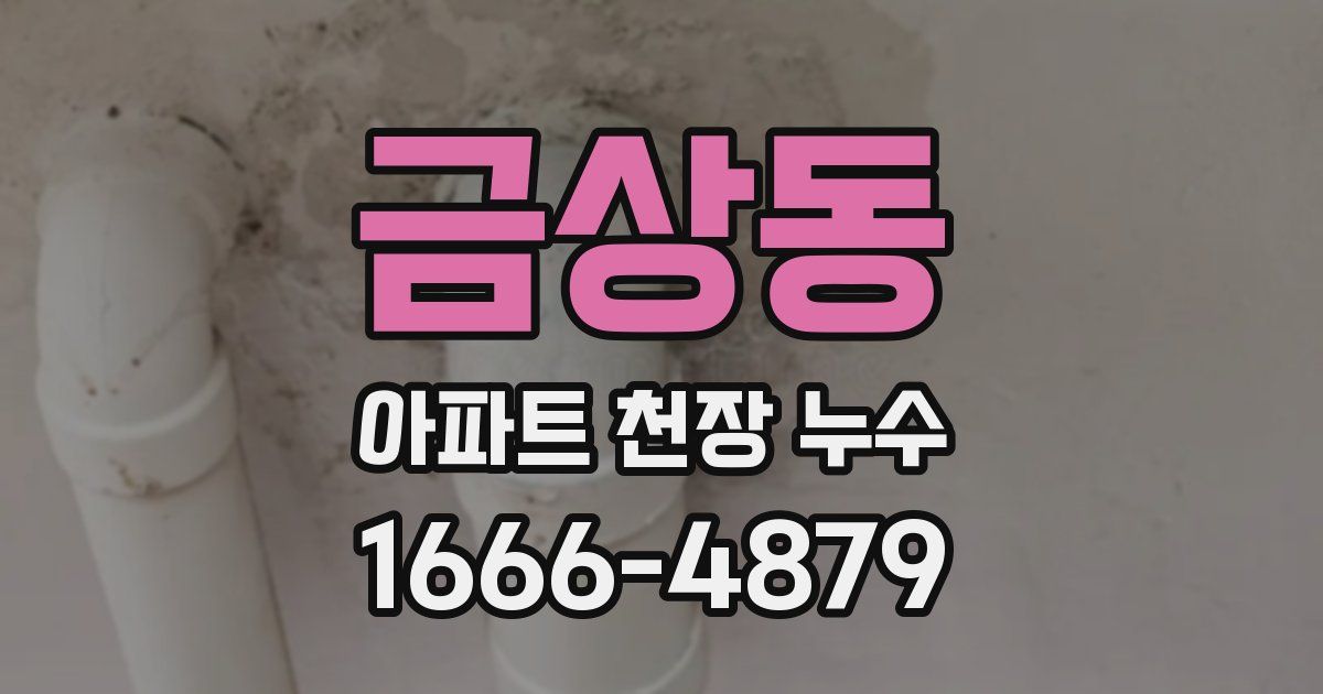 금상동 아파트 천장 누수