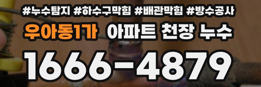 우아동1가 아파트 천장 누수