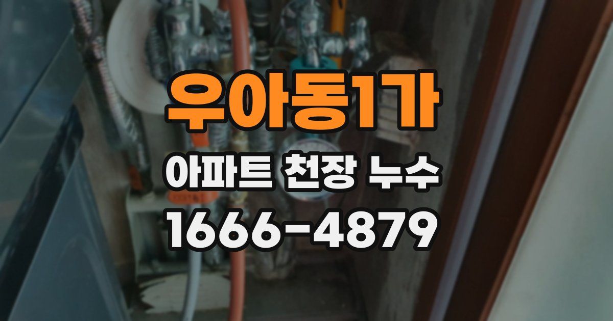 우아동1가 아파트 천장 누수