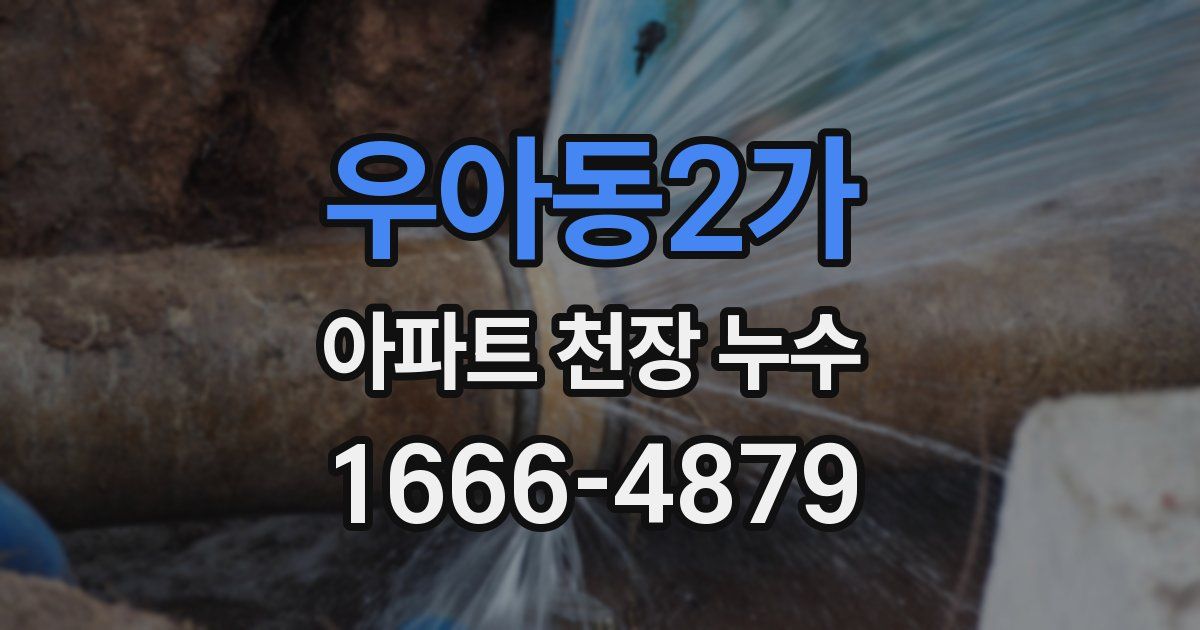 우아동2가 아파트 천장 누수
