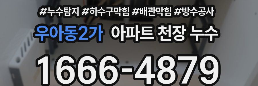 우아동2가 아파트 천장 누수