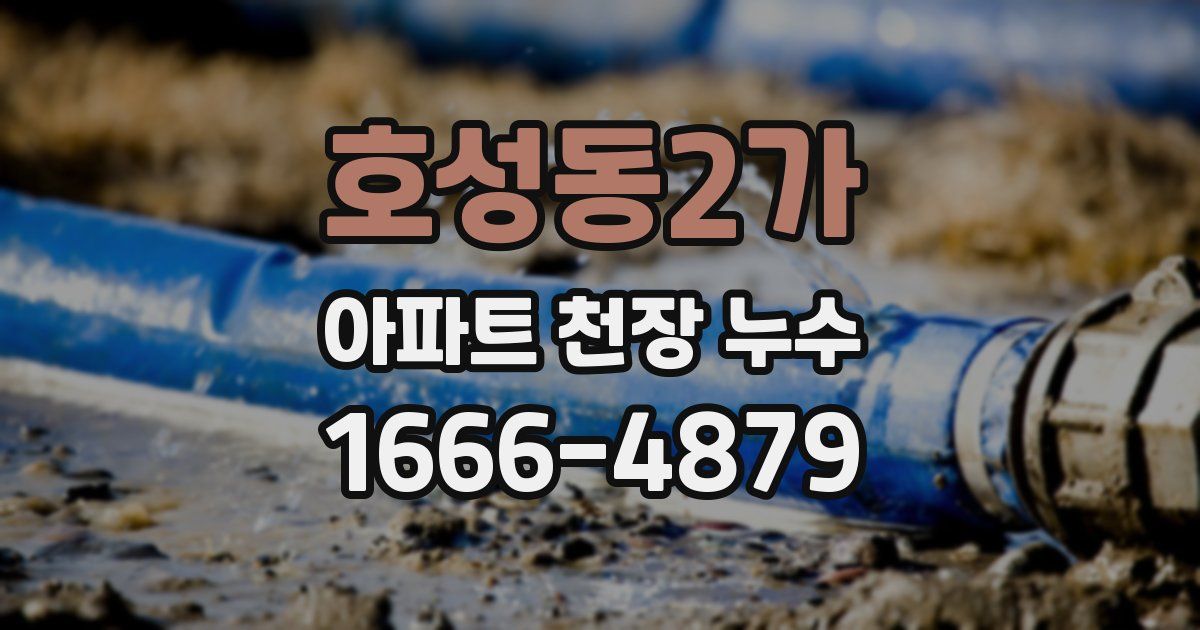 호성동2가 아파트 천장 누수