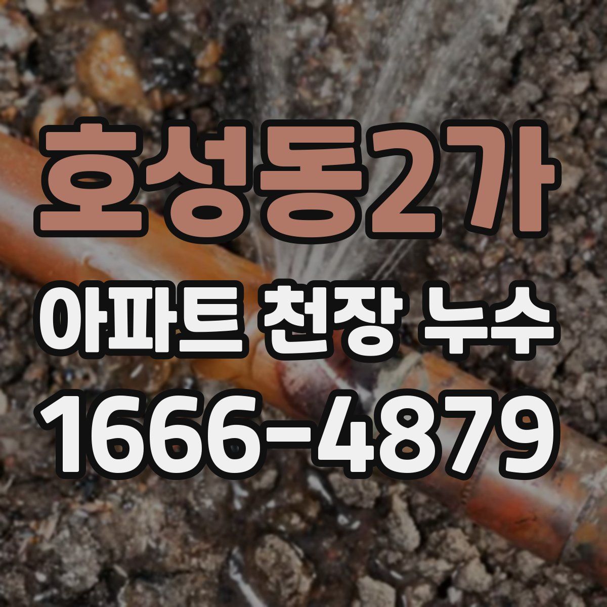 호성동2가 아파트 천장 누수