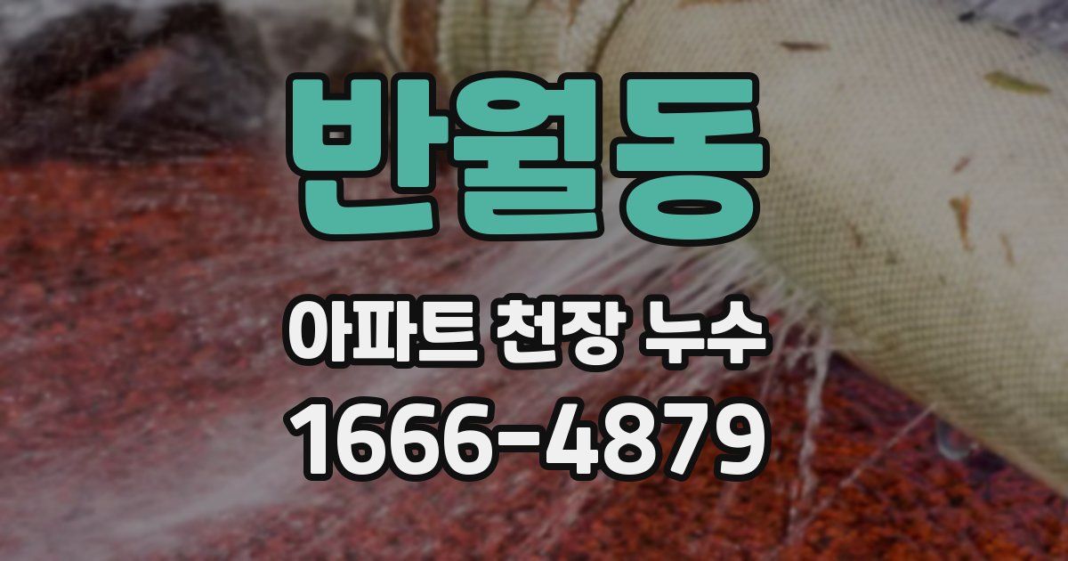 반월동 아파트 천장 누수