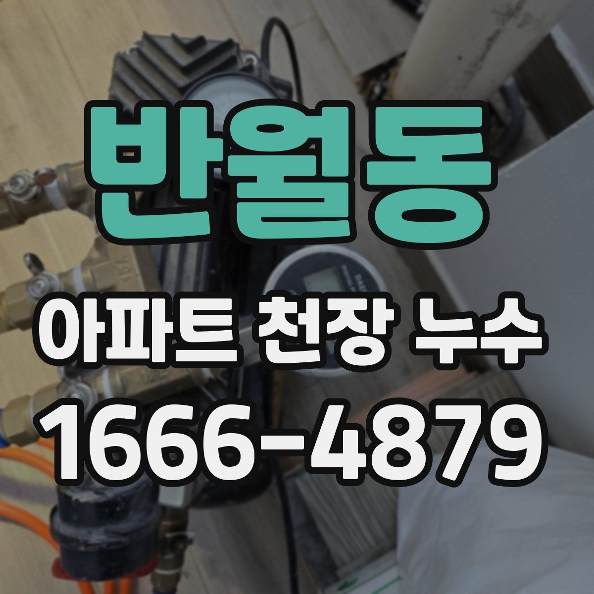 반월동 아파트 천장 누수