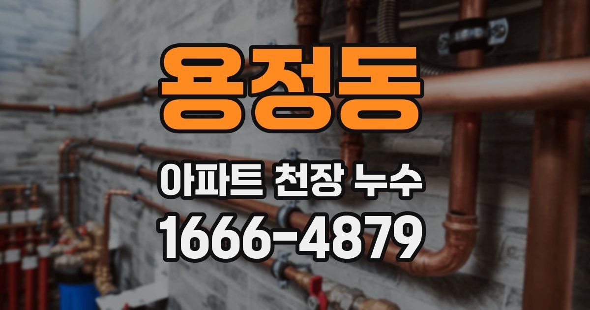 용정동 아파트 천장 누수