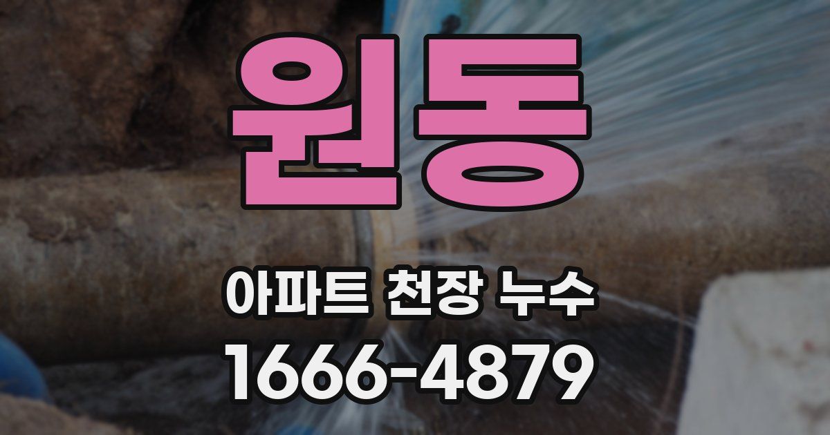 원동 아파트 천장 누수