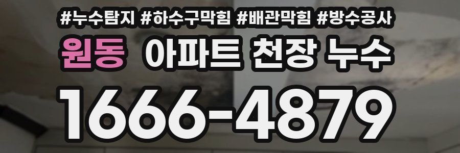 원동 아파트 천장 누수