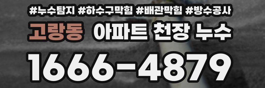 고랑동 아파트 천장 누수