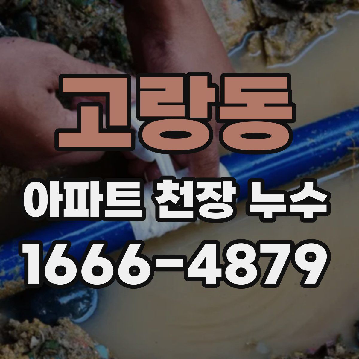 고랑동 아파트 천장 누수