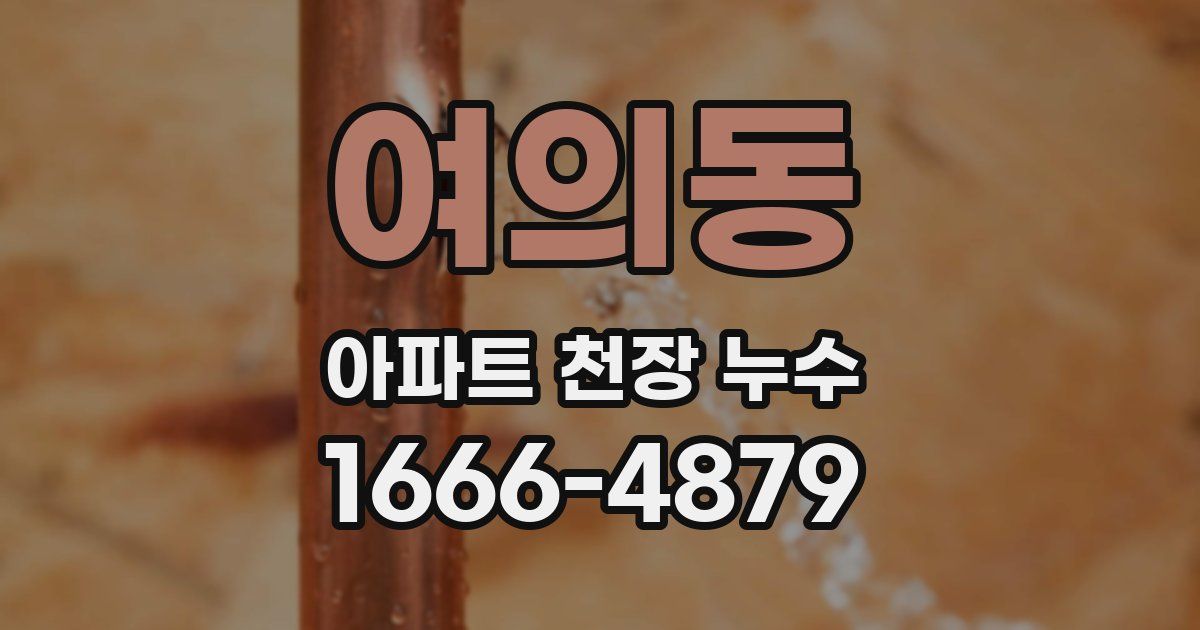 여의동 아파트 천장 누수
