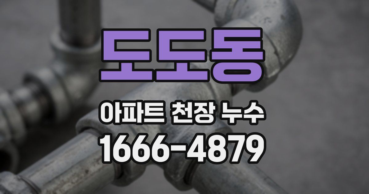 도도동 아파트 천장 누수