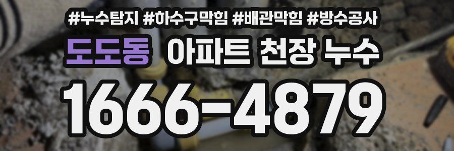도도동 아파트 천장 누수