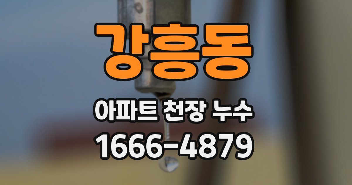 강흥동 아파트 천장 누수