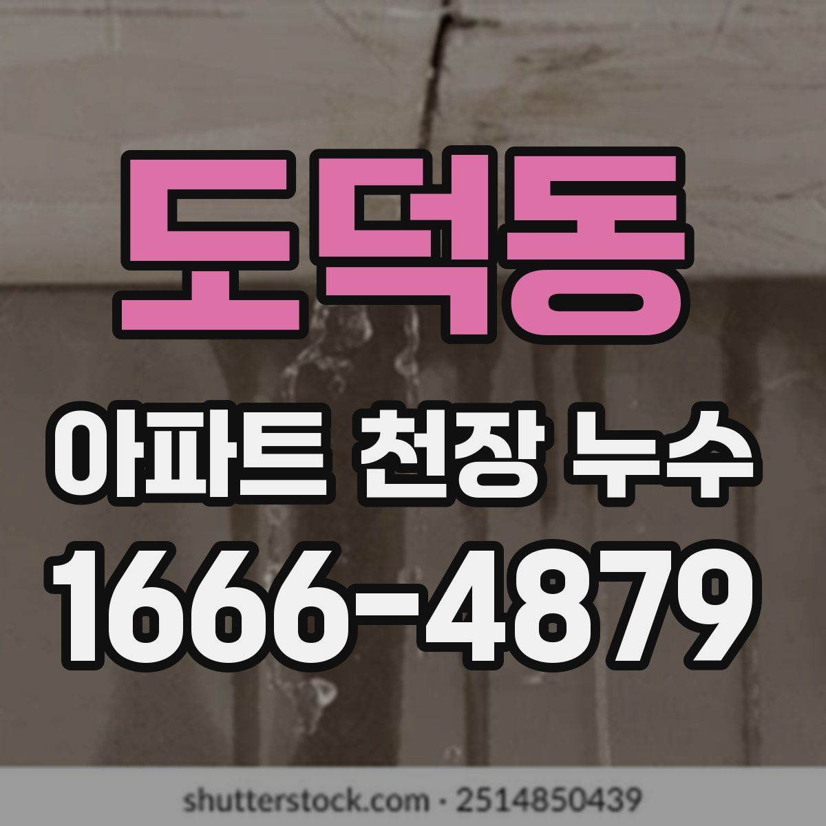도덕동 아파트 천장 누수