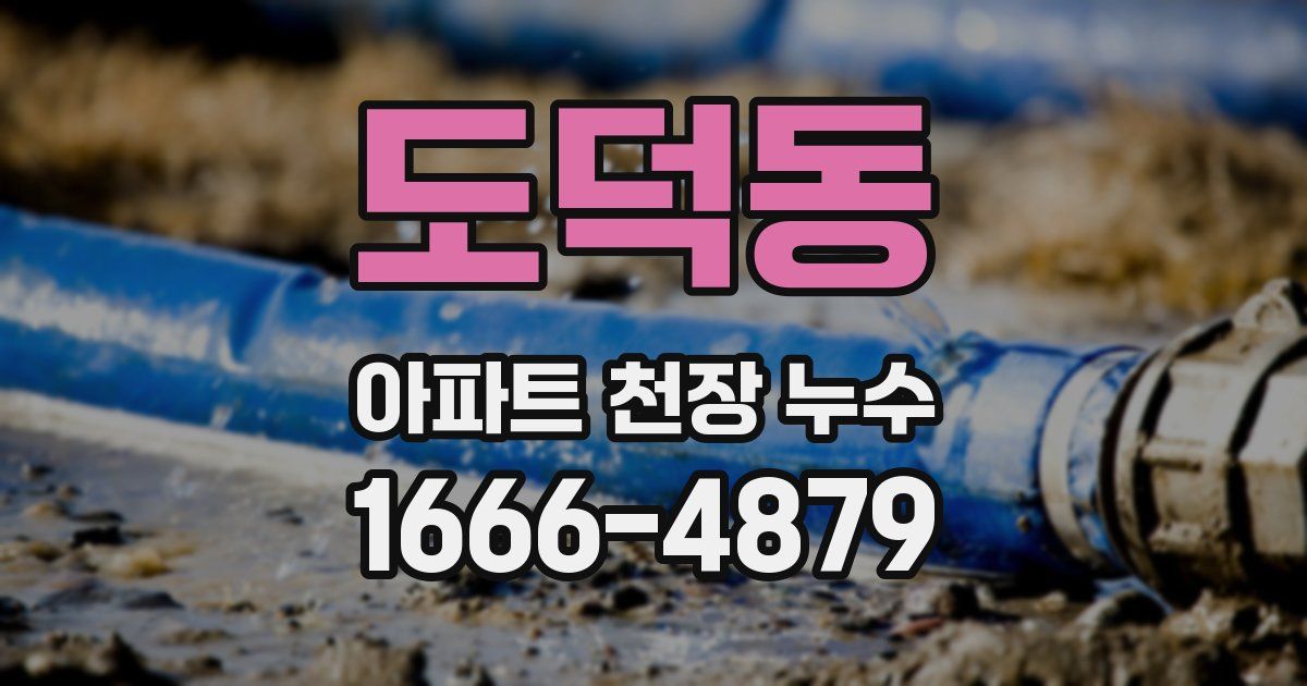 도덕동 아파트 천장 누수