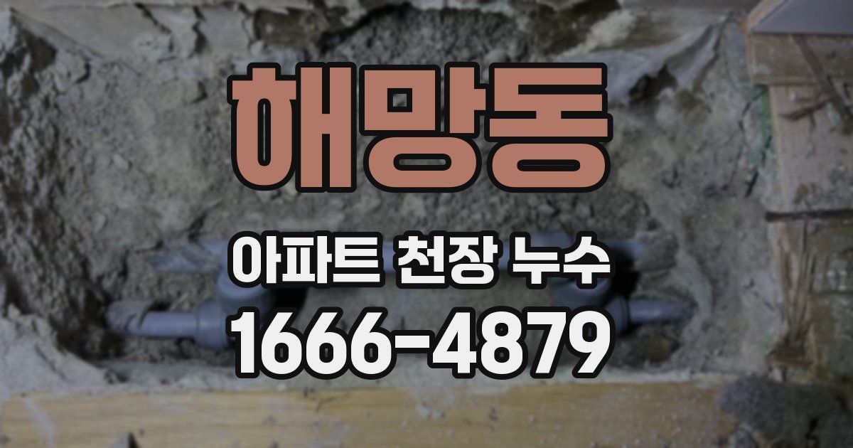 해망동 아파트 천장 누수