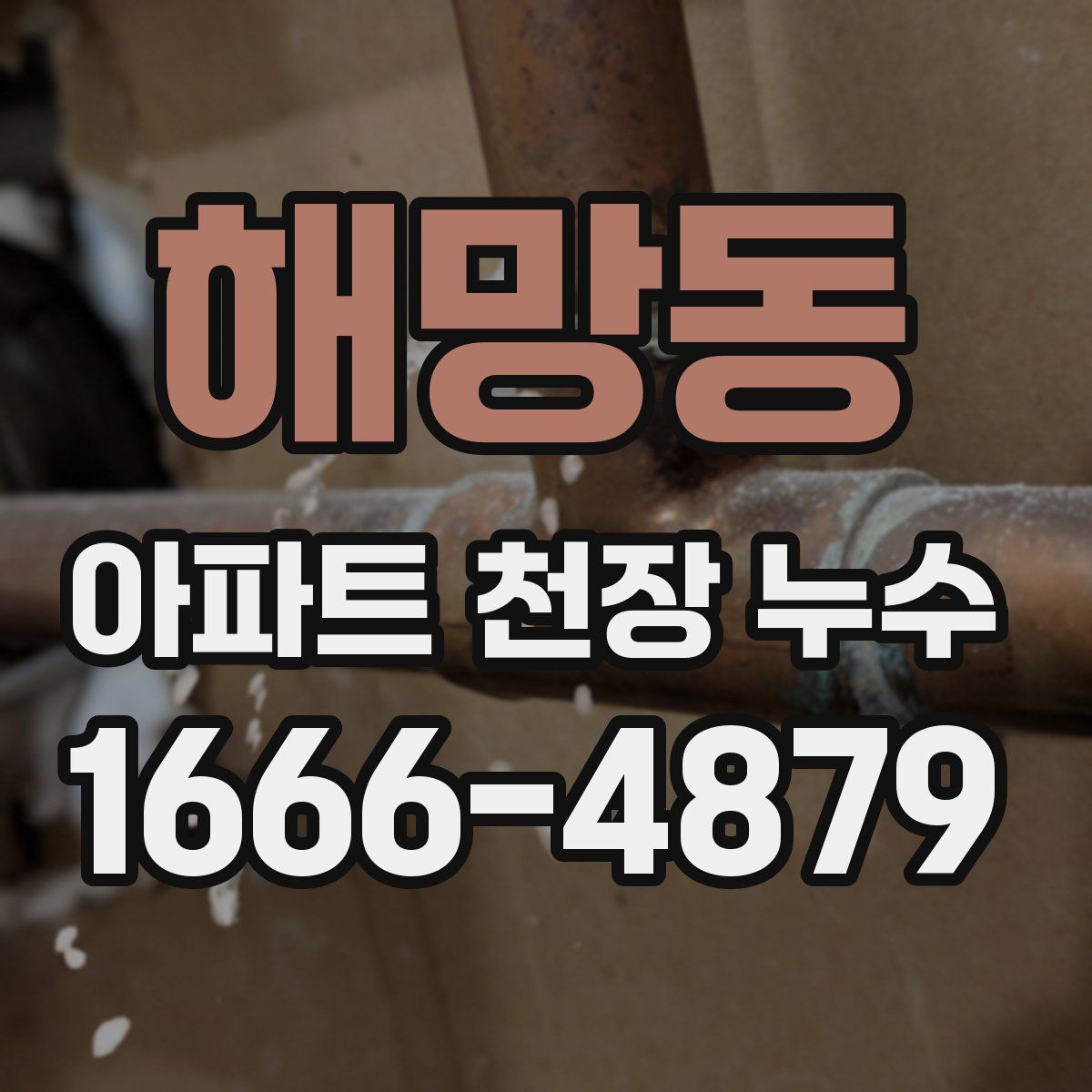 해망동 아파트 천장 누수