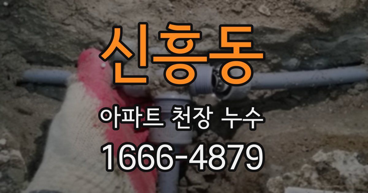 신흥동 아파트 천장 누수