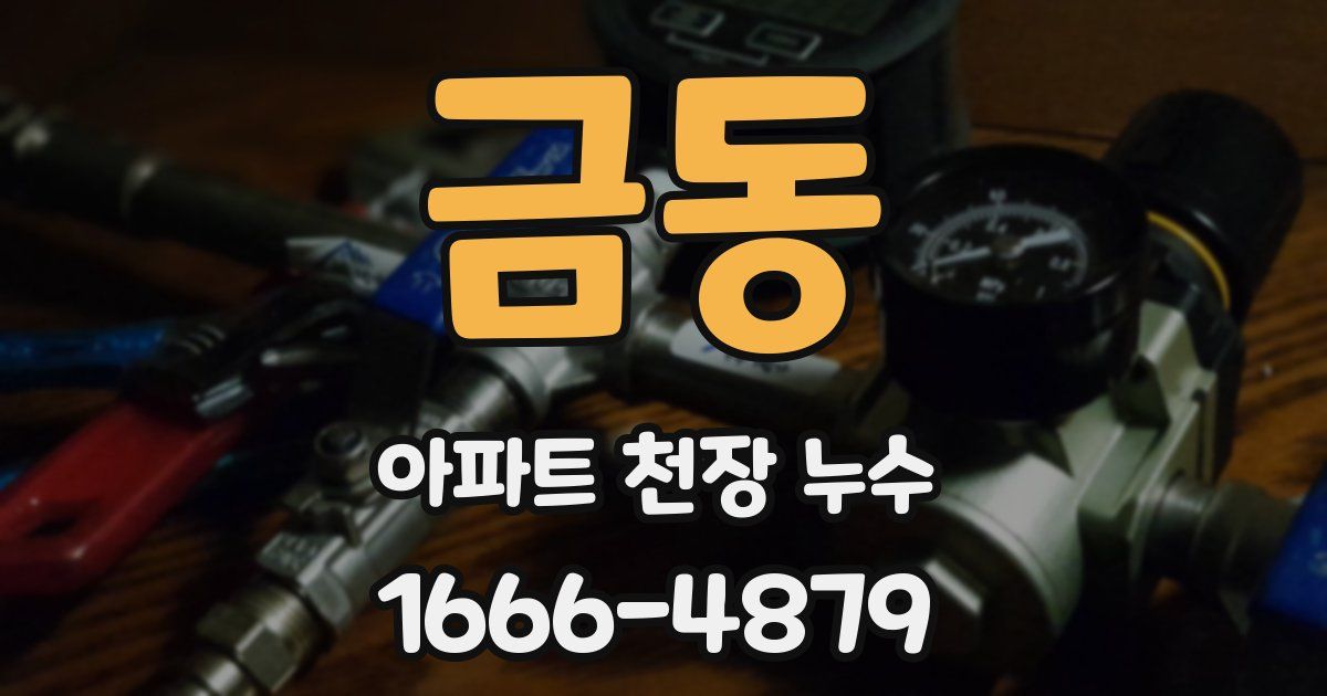 금동 아파트 천장 누수