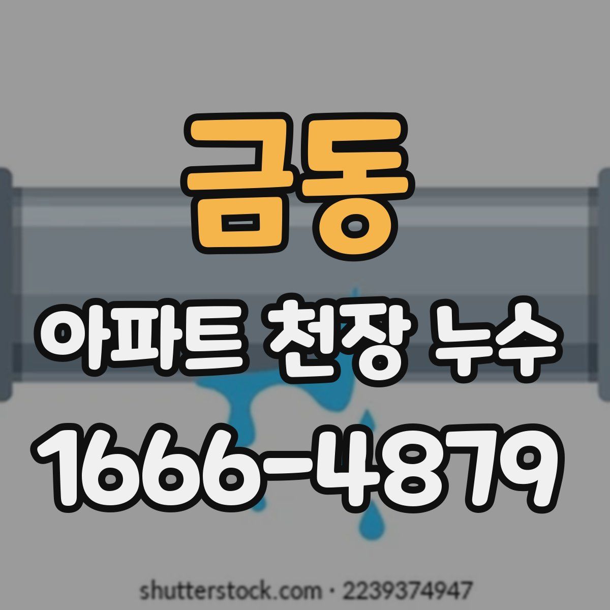 금동 아파트 천장 누수