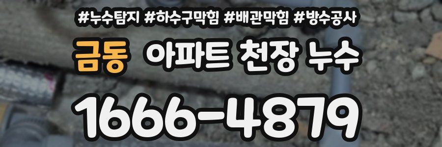 금동 아파트 천장 누수