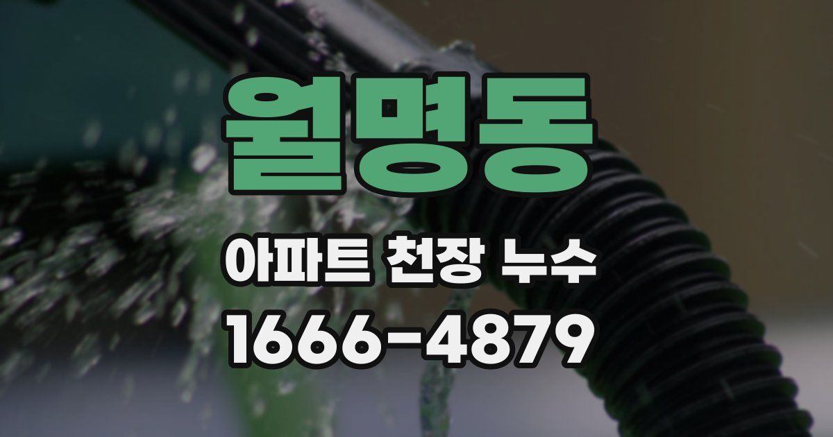 월명동 아파트 천장 누수