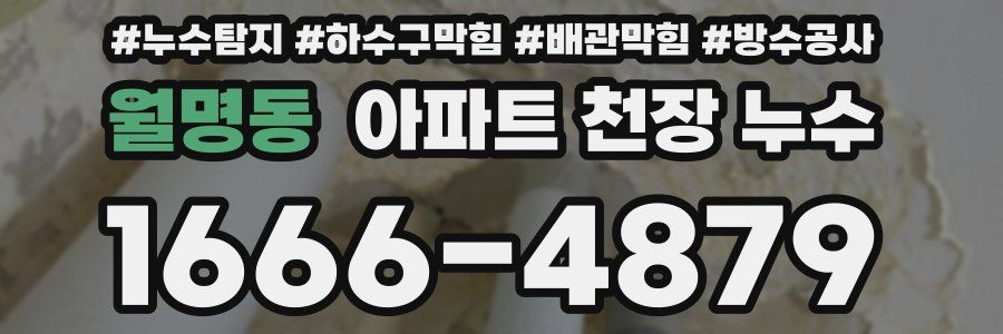 월명동 아파트 천장 누수