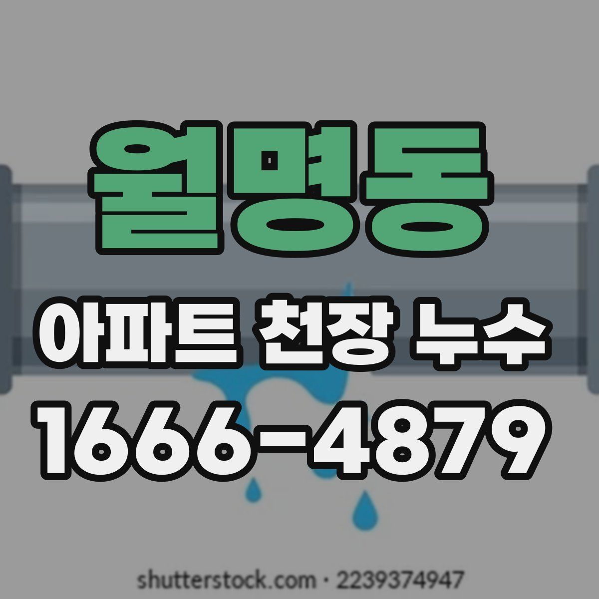 월명동 아파트 천장 누수