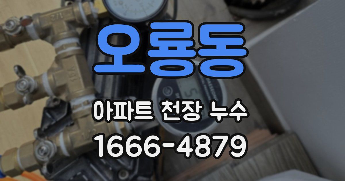 오룡동 아파트 천장 누수