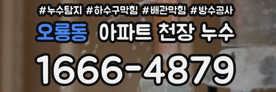 오룡동 아파트 천장 누수
