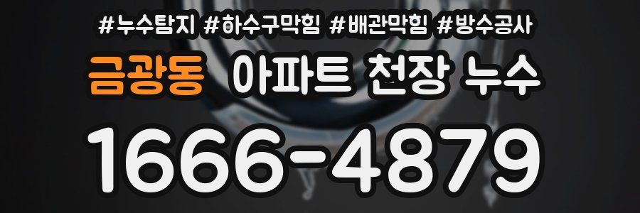 금광동 아파트 천장 누수