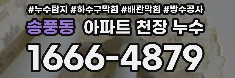 송풍동 아파트 천장 누수