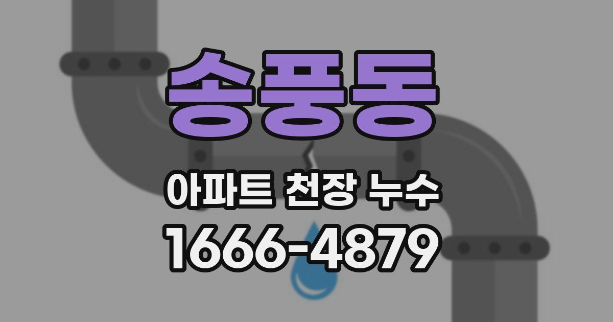송풍동 아파트 천장 누수
