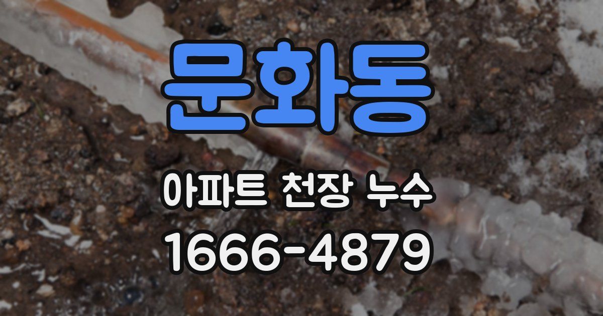 문화동 아파트 천장 누수