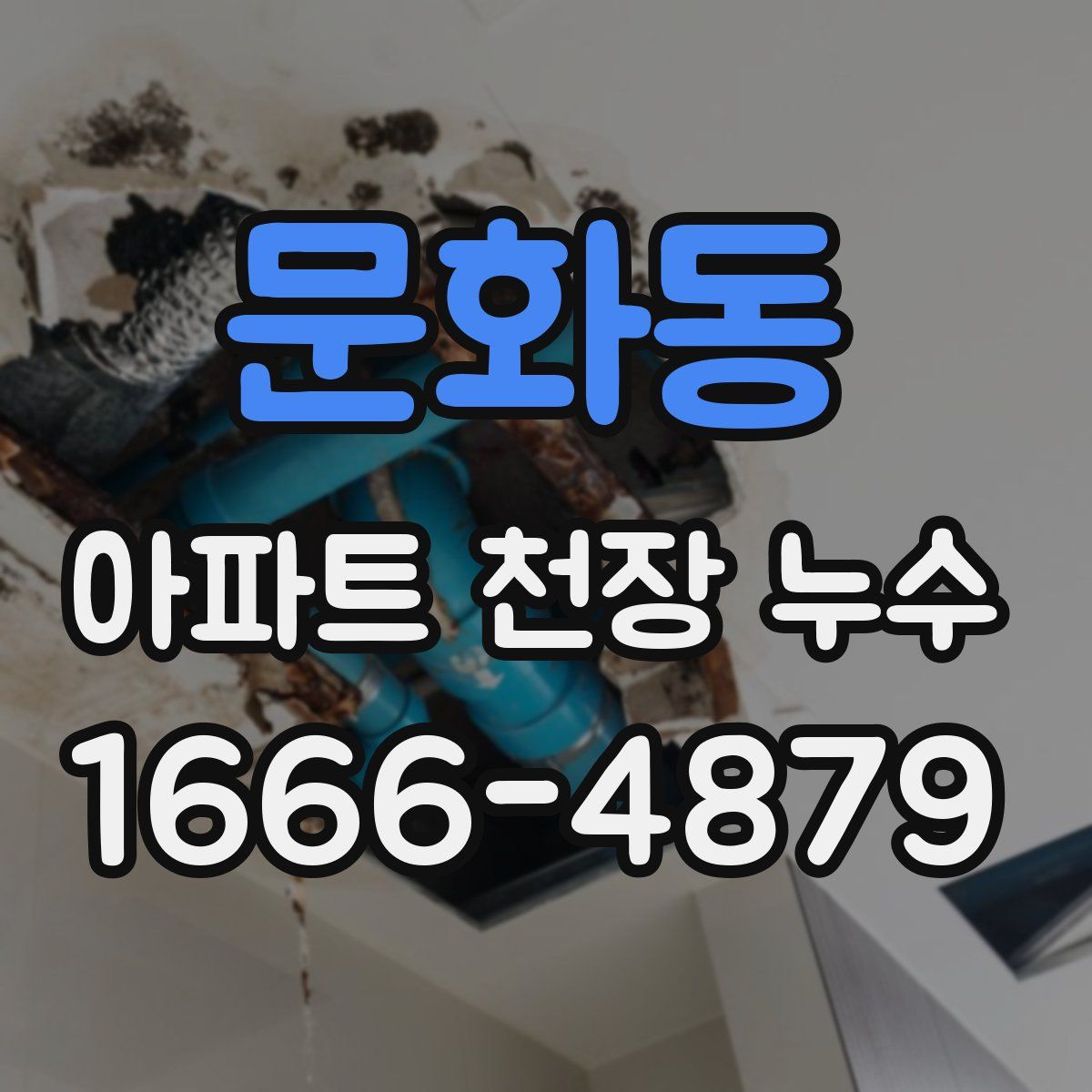 문화동 아파트 천장 누수