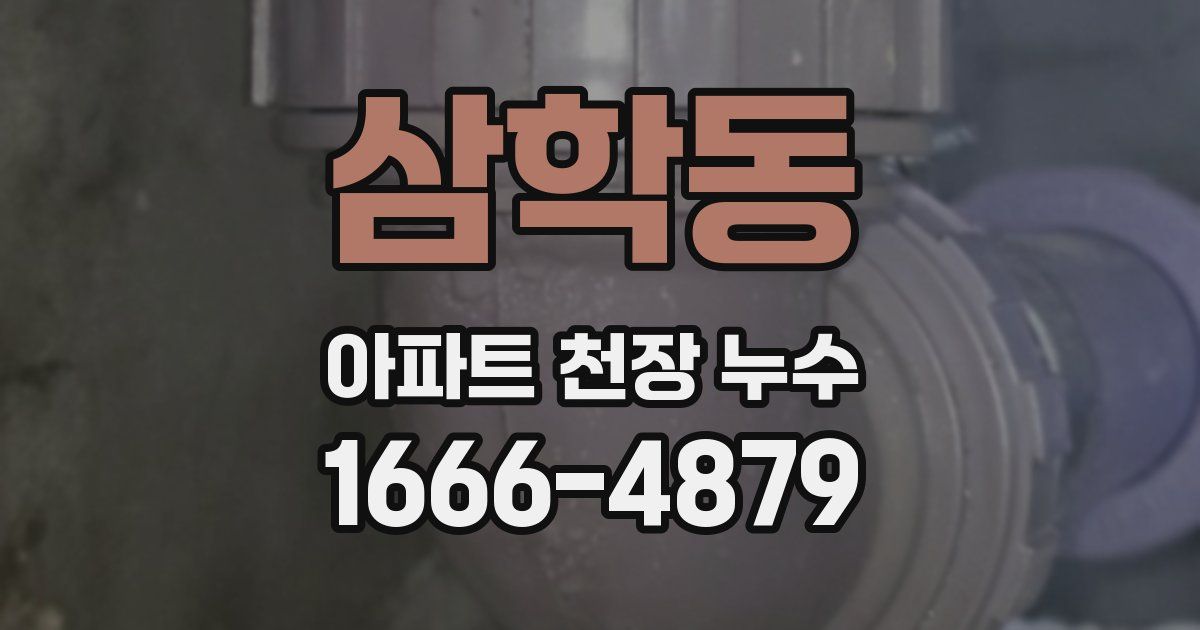삼학동 아파트 천장 누수