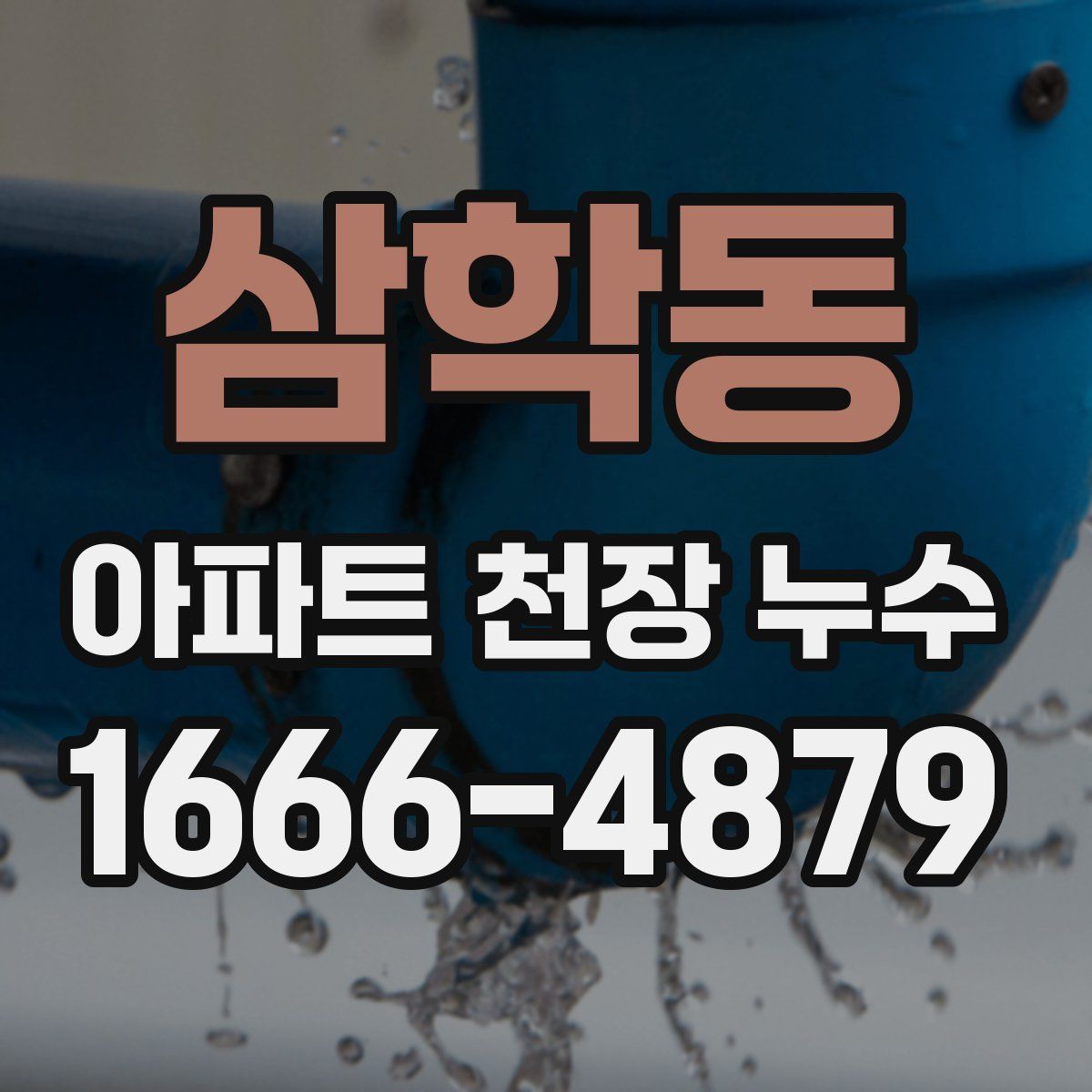 삼학동 아파트 천장 누수