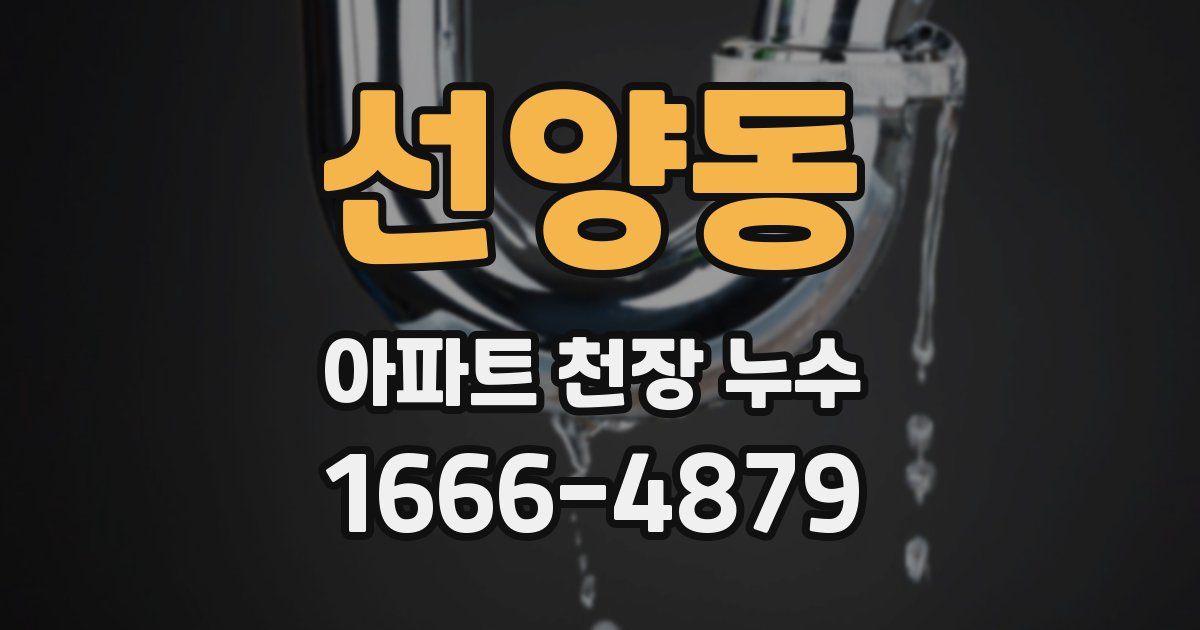선양동 아파트 천장 누수