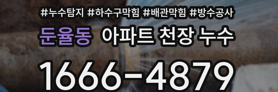 둔율동 아파트 천장 누수
