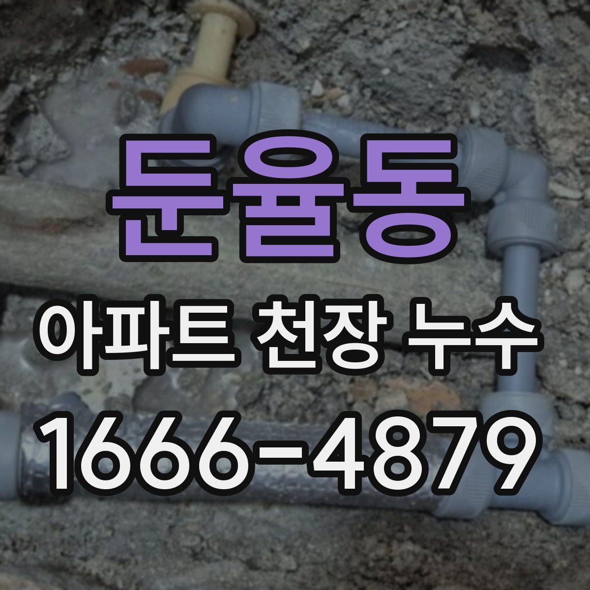 둔율동 아파트 천장 누수
